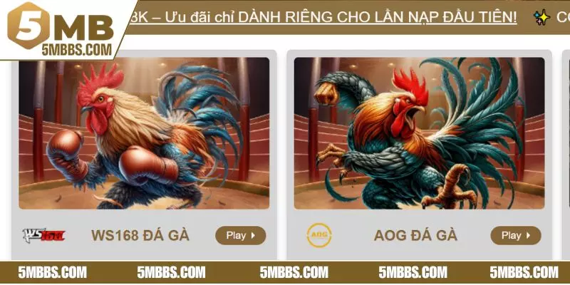 Chi tiết luật chơi đơn giản của đá gà Campuchia