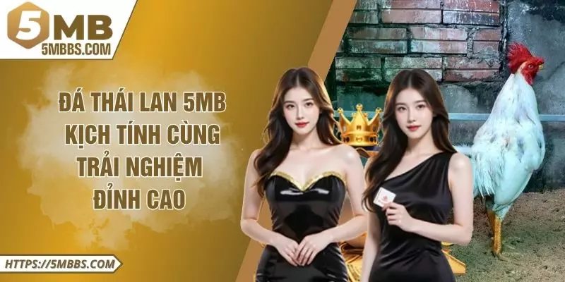 Đá Gà Thái Lan 5MB Kịch Tính Cùng Trải Nghiệm Đỉnh Cao 