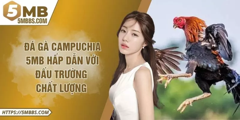 Đá Gà Campuchia 5MB Hấp Dẫn Với Đấu Trường Chất Lượng 