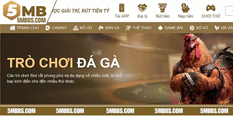 Giải mã sức hấp dẫn của đá gà Thái Lan