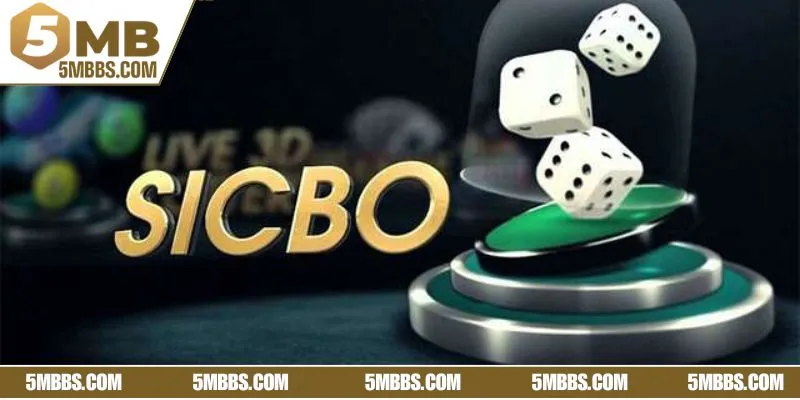 Mẹo chơi Sicbo giúp hội viên tối ưu khả năng nhận thưởng 